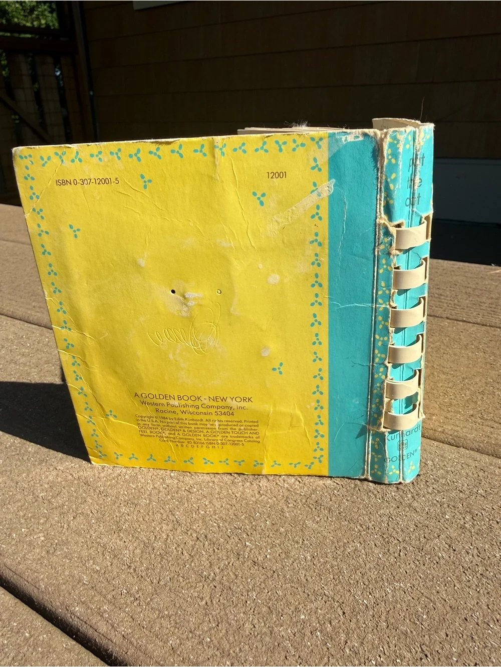 First Edition 1984 Pat the Cat by Edith Kunhardt Touch-and-Feel Illustrated Book